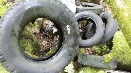 Sanacija črnega odlagališča – Banova jama 115